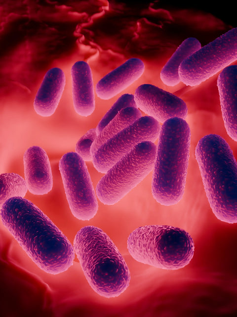 Skin Microbiome and Barrier Integrity: Microbial Ecosystems in Cutaneous Health XAGE