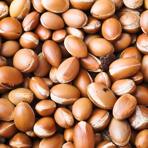Argania Spinosa (Argan) Kernel Oil