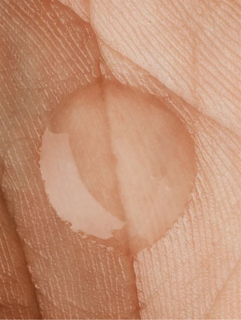 Hydration Priming Systems