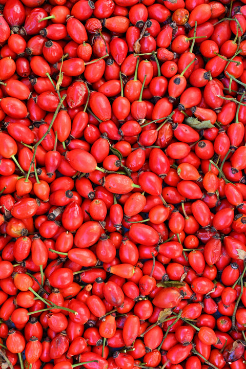Rosehip Seed Oil